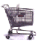 See What Domain Names Registrations and Hosting Packages are in your Shopping Cart